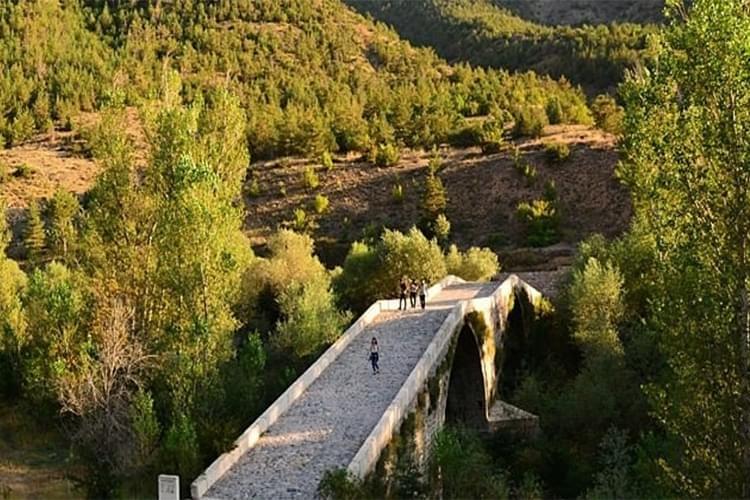 Tohumoğlu Köprüsü