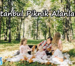 İstanbul Piknik Alanları | En Güzel Piknik Yerleri