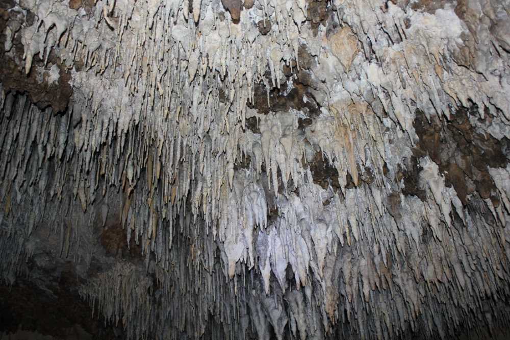 Sırtlanini Mağarası